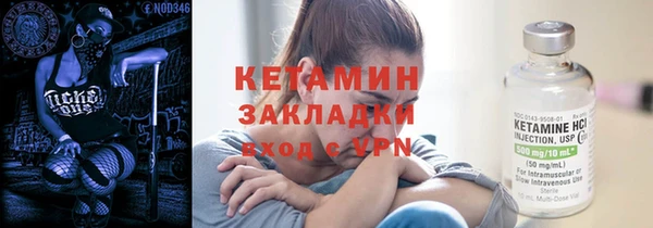 шишки Козельск