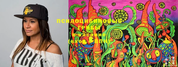 амф Кинешма
