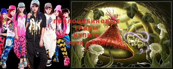apvp Кодинск