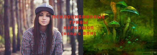 бошки Киреевск